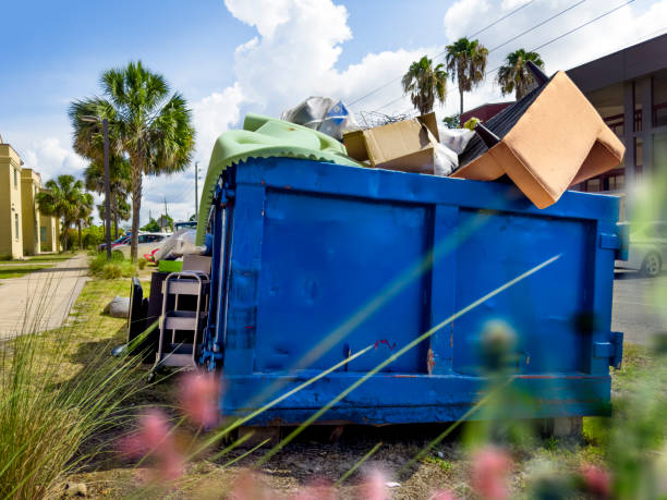 Debris Removal in Gray, TN